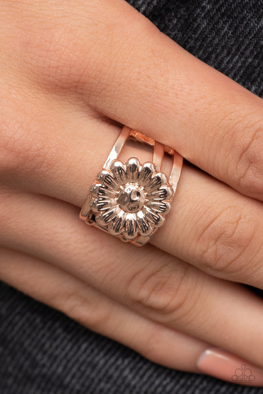 Roadside Daisies (Rose Gold Ring) by Paparazzi Accessories